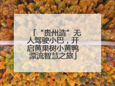 “贵州造”无人驾驶小巴，开启黄果树小黄鸭漂流智慧之旅