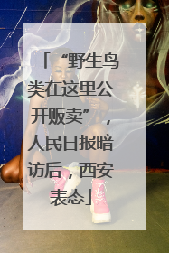 “野生鸟类在这里公开贩卖”，人民日报暗访后，西安表态