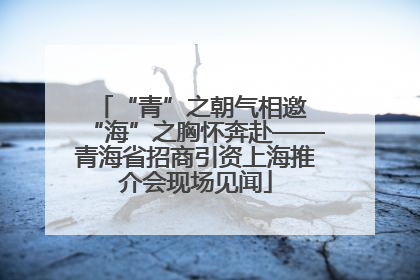 “青”之朝气相邀 “海”之胸怀奔赴——青海省招商引资上海推介会现场见闻