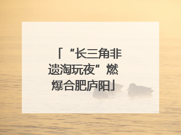 “长三角非遗淘玩夜”燃爆合肥庐阳