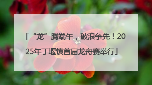 “龙”腾端午，破浪争先！2025年丁堰镇首届龙舟赛举行