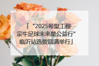 “2025希望工程·蒙牛足球未来星公益行”临沂站选拔圆满举行