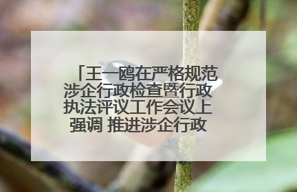 王一鸥在严格规范涉企行政检查暨行政执法评议工作会议上强调 推进涉企行政检查质效大幅提升