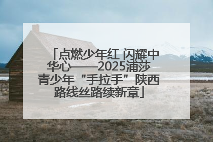 点燃少年红 闪耀中华心——2025浦莎青少年“手拉手”陕西路线丝路续新章