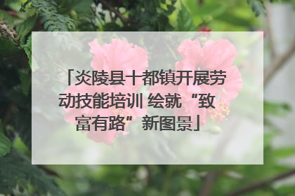炎陵县十都镇开展劳动技能培训 绘就“致富有路”新图景