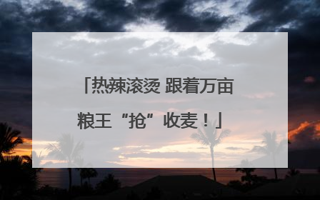 热辣滚烫 跟着万亩粮王“抢”收麦！