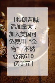 特朗普喊话加拿大：加入美国可免费用“金穹” 不然要花610亿美元
