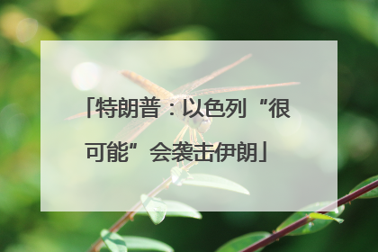 特朗普：以色列“很可能”会袭击伊朗