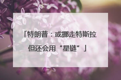 特朗普：或挪走特斯拉 但还会用“星链”