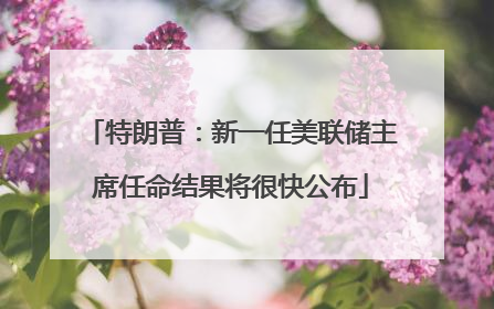 特朗普：新一任美联储主席任命结果将很快公布