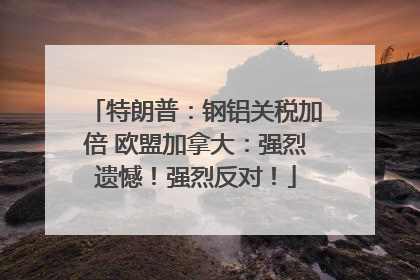 特朗普：钢铝关税加倍 欧盟加拿大：强烈遗憾！强烈反对！