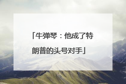 牛弹琴：他成了特朗普的头号对手