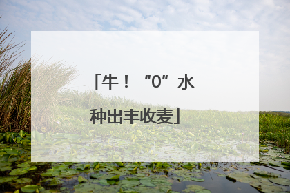 牛！“0”水种出丰收麦