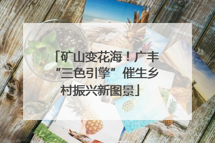 矿山变花海！广丰“三色引擎”催生乡村振兴新图景