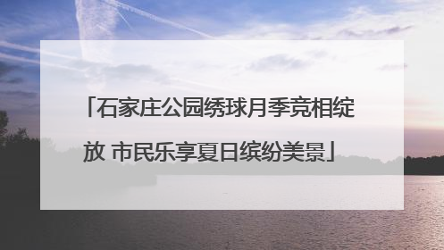 石家庄公园绣球月季竞相绽放 市民乐享夏日缤纷美景