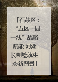 石鼓区：“五区一园一线”战略赋能 河湖长制绘就生态新图景