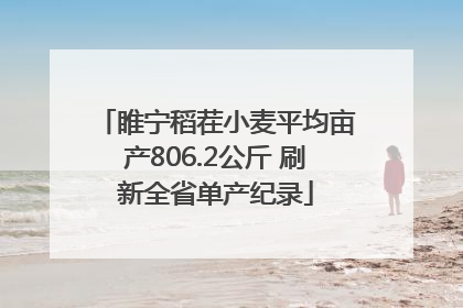 睢宁稻茬小麦平均亩产806.2公斤 刷新全省单产纪录