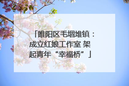 睢阳区毛堌堆镇：成立红娘工作室 架起青年“幸福桥”