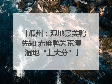瓜州：湿地景美鸭先知 赤麻鸭为荒漠湿地“上大分”