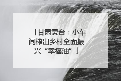 甘肃灵台：小车间榨出乡村全面振兴“幸福油”