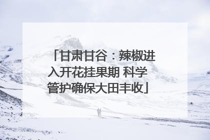 甘肃甘谷：辣椒进入开花挂果期 科学管护确保大田丰收