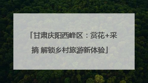 甘肃庆阳西峰区：赏花+采摘 解锁乡村旅游新体验