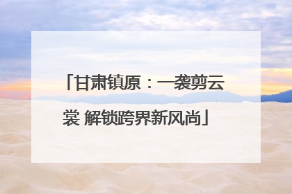 甘肃镇原：一袭剪云裳 解锁跨界新风尚