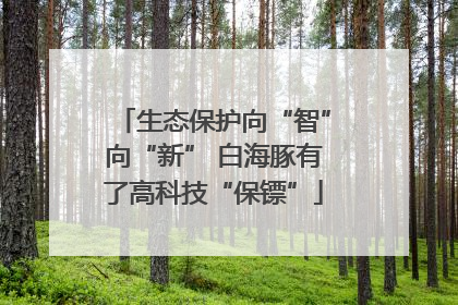 生态保护向“智”向“新” 白海豚有了高科技“保镖”