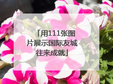 用111张图片展示国际友城往来成就