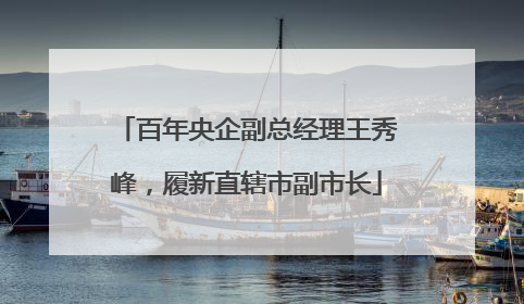 百年央企副总经理王秀峰，履新直辖市副市长