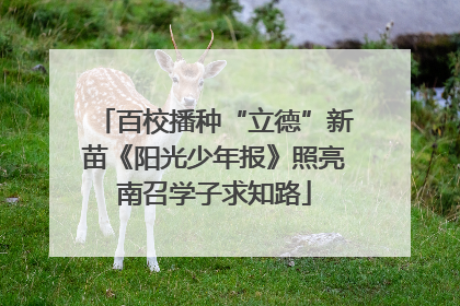 百校播种“立德”新苗《阳光少年报》照亮南召学子求知路