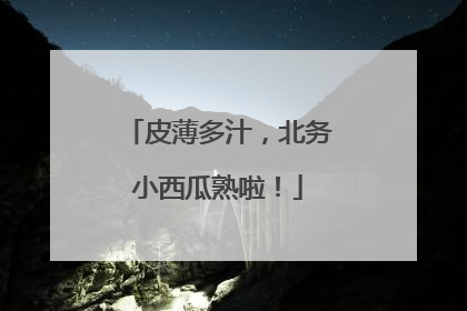 皮薄多汁，北务小西瓜熟啦！
