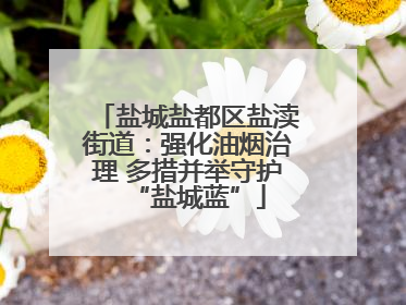 盐城盐都区盐渎街道：强化油烟治理 多措并举守护“盐城蓝”