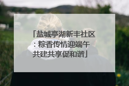 盐城亭湖新丰社区：粽香传情迎端午 共建共享促和谐