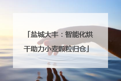 盐城大丰：智能化烘干助力小麦颗粒归仓