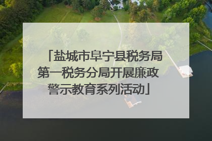 盐城市阜宁县税务局第一税务分局开展廉政警示教育系列活动