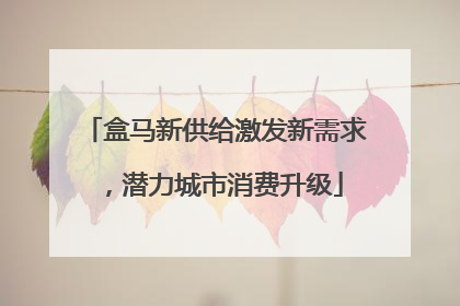 盒马新供给激发新需求，潜力城市消费升级
