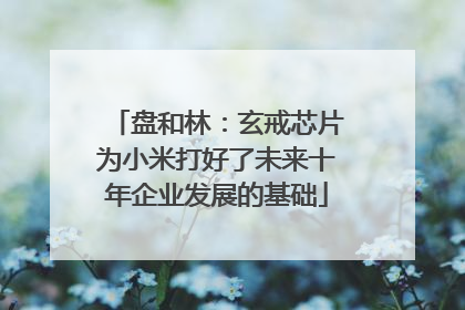 盘和林：玄戒芯片为小米打好了未来十年企业发展的基础