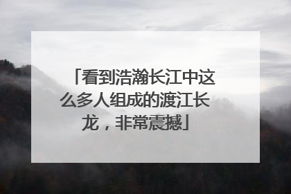看到浩瀚长江中这么多人组成的渡江长龙，非常震撼