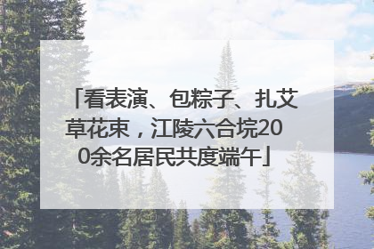 看表演、包粽子、扎艾草花束，江陵六合垸200余名居民共度端午