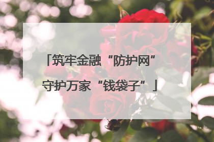 筑牢金融“防护网” 守护万家“钱袋子”