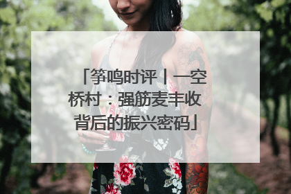 筝鸣时评丨一空桥村：强筋麦丰收背后的振兴密码