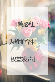 管必红：为维护华社权益发声