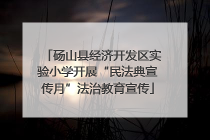 砀山县经济开发区实验小学开展“民法典宣传月”法治教育宣传