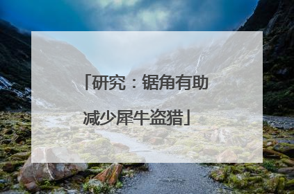研究：锯角有助减少犀牛盗猎