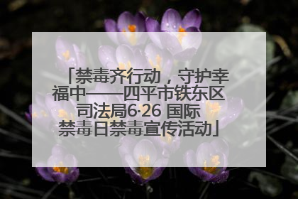 禁毒齐行动，守护幸福中——四平市铁东区司法局6·26 国际禁毒日禁毒宣传活动