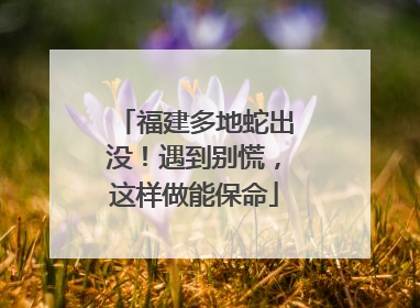 福建多地蛇出没！遇到别慌，这样做能保命