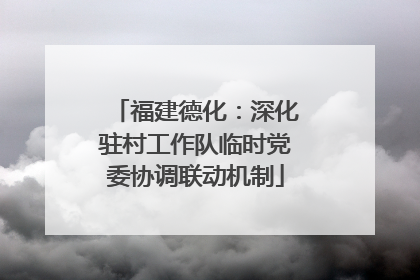 福建德化：深化驻村工作队临时党委协调联动机制