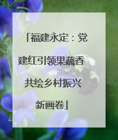 福建永定：党建红引领果蔬香 共绘乡村振兴新画卷
