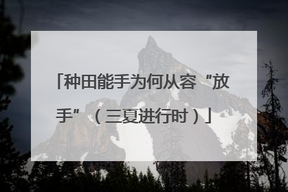 种田能手为何从容“放手”（三夏进行时）
